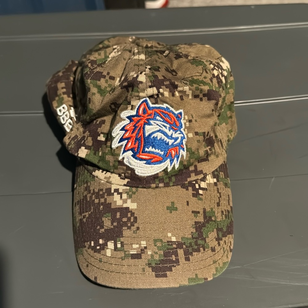 Sound tigers hat